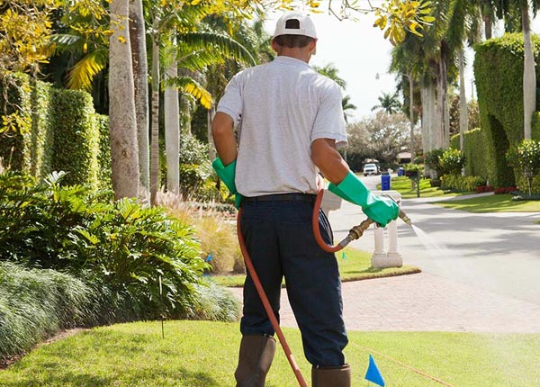 About Edwards MO Pest Control